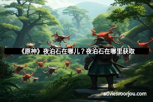《原神》夜泊石在哪儿？夜泊石在哪里获取